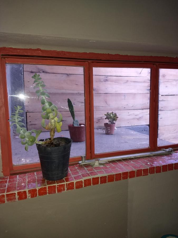 El Tamarisco Apartman Puerto Pirámides Kültér fotó
