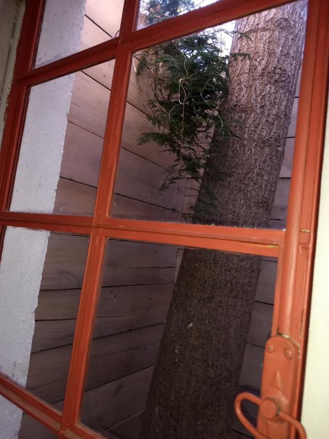 El Tamarisco Apartman Puerto Pirámides Kültér fotó